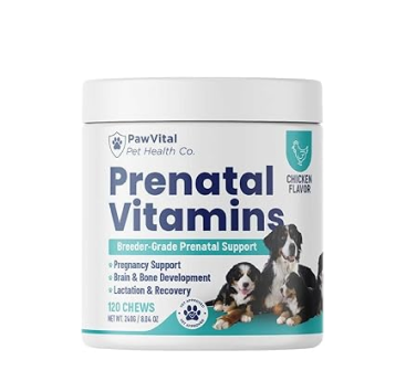 Prenatal Support Chews